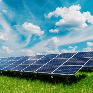 Solar Panels Core Talent Recruitment